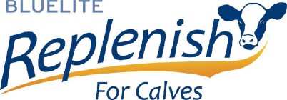 BLUELITE REPLENISH FOR CALVES