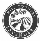 HILL COUNTRY LAVENDER