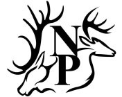 N P