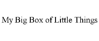 MY BIG BOX OF LITTLE THINGS