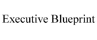 EXECUTIVE BLUEPRINT