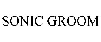 SONIC GROOM