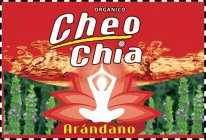 ORGANICO CHEO CHIA ARÁNDANO