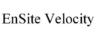 ENSITE VELOCITY