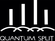 QUANTUM SPLIT