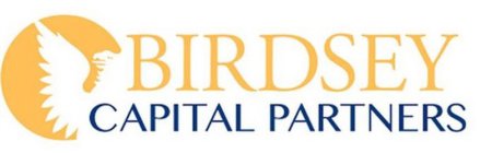 BIRDSEY CAPITAL PARTNERS