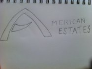 AMERICAN ESTATES