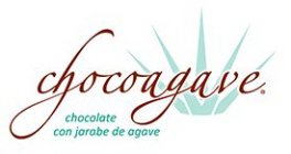 CHOCOAGAVE. CHOCOLATE CON JARABE DE AGAVE