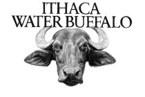 ITHACA WATER BUFFALO