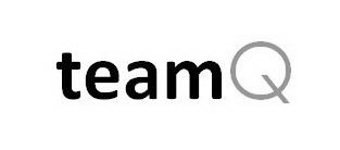 TEAMQ