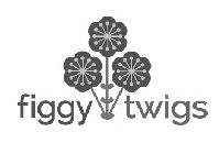 FIGGY TWIGS