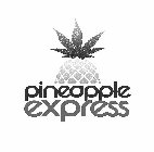 PINEAPPLE EXPRESS