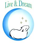 LIVE & DREAM