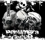 CALAVERA BEER PENUMBRA SCHWARZBIER