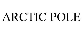 ARCTIC POLE