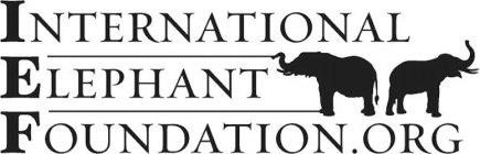 INTERNATIONALELEPHANTFOUNDATION.ORG