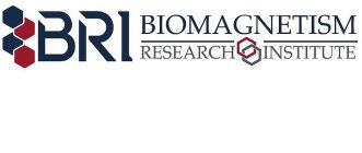 BRI BIOMAGNETISM RESEARCH INSTITUTE