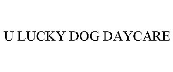 U LUCKY DOG DAYCARE