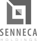 SENNECA HOLDINGS