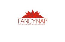 FANCYNAP SPECTACULAR TABLE SETTINGS IN SECONDS!