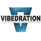 VIBEDRATION LIFE'S A PARTY, STAY HYDRATED