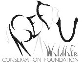 NSEFU WILDLIFE CONSERVATION FOUNDATION
