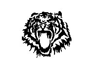 Image Trademark
