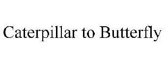 CATERPILLAR TO BUTTERFLY