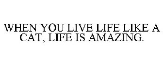 WHEN YOU LIVE LIFE LIKE A CAT, LIFE IS AMAZING.