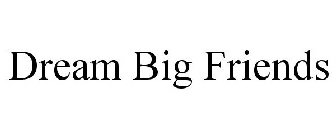 DREAM BIG FRIENDS