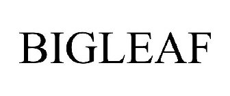 BIGLEAF