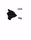 LIVE BIG