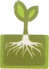 Image Trademark