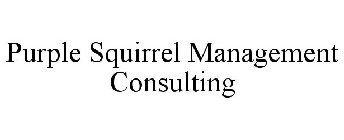 PURPLE SQUIRREL MANAGEMENT CONSULTING