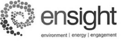 ENSIGHT ENVIRONMENT | ENERGY | ENGAGEMENT