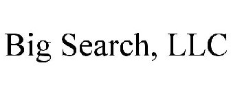 BIG SEARCH, LLC