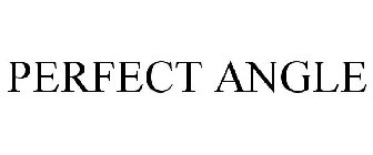 PERFECT ANGLE