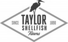 TAYLOR SHELLFISH FARMS SINCE 1890