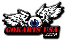 GOKARTS USA.COM