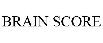 BRAIN SCORE