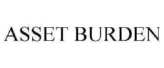 ASSET BURDEN