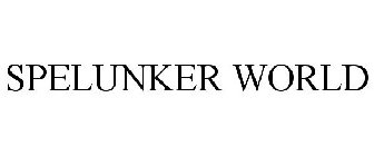 SPELUNKER WORLD
