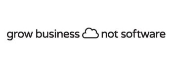 GROW BUSINESS NOT SOFTWARE