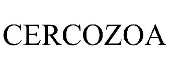 CERCOZOA