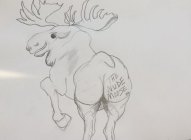 THE NUDE MOOSE