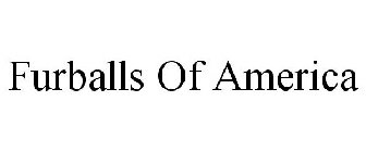 FURBALLS OF AMERICA