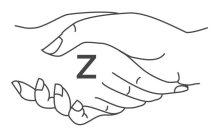 Z