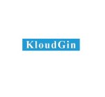 KLOUDGIN