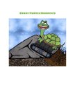 CRAZY TURTLE ROBOTICS