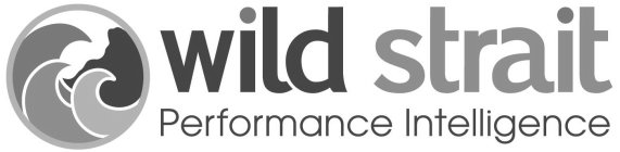 WILD STRAIT PERFORMANCE INTELLIGENCE